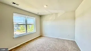 1236 Pimpernell Path — Photo 23