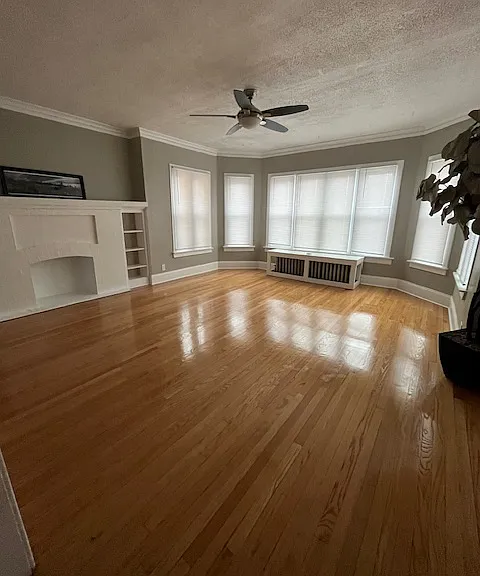 7721 S Hermitage Ave #3 — Photo 2