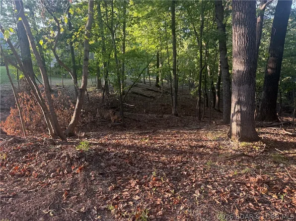 LOT 334 Lake Dr, Sunrise Beach, MO 65079