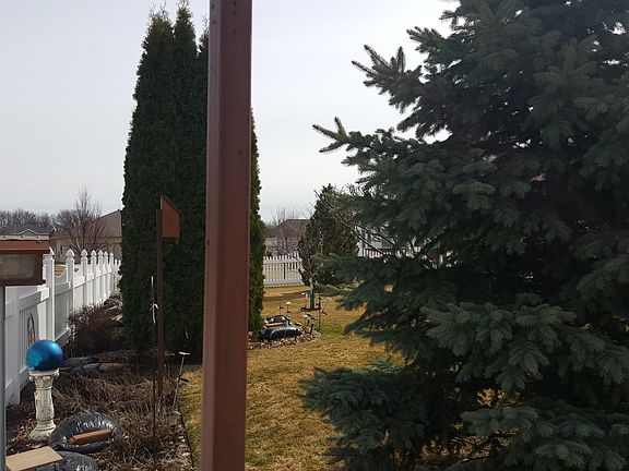 Many perennials and bushes