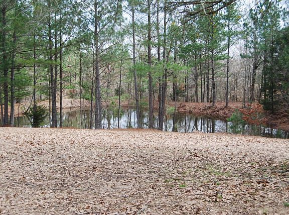 5th image of 67 County Road 354