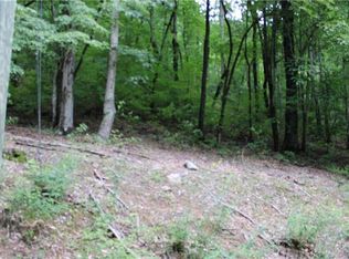 0 S Poplar Dr #LO229, Lake Lure, NC 28746