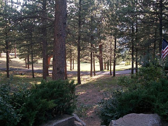 Wooded Acre