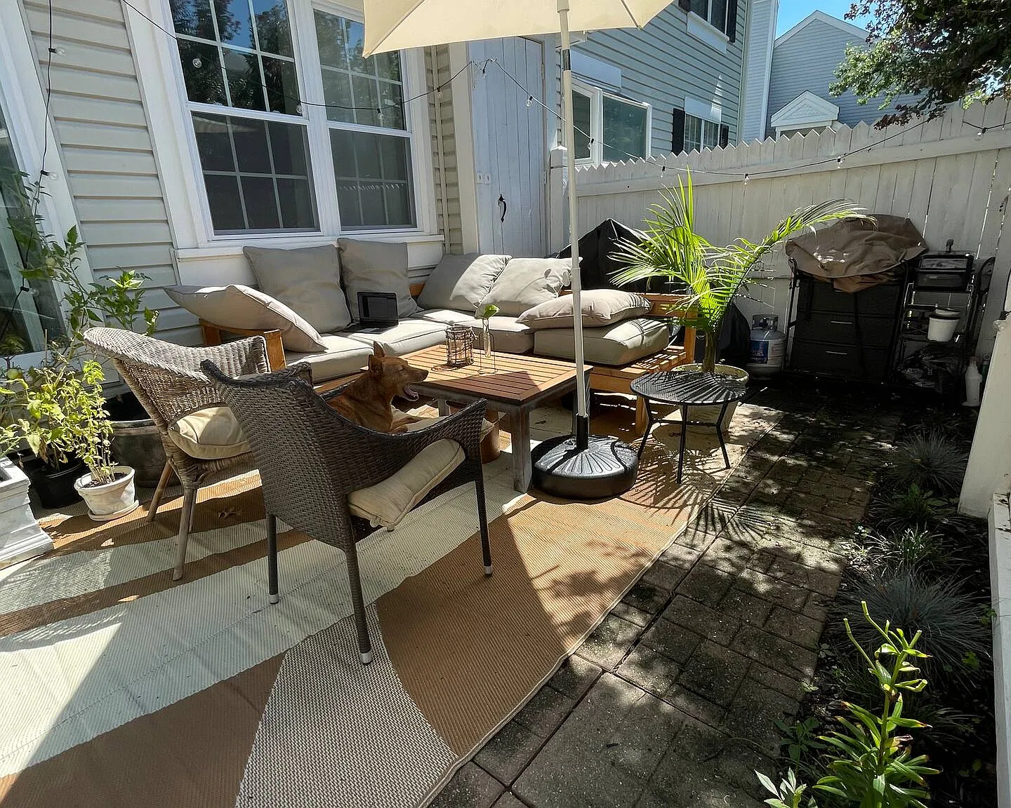 S Woodley St, Arlington — Photo 4