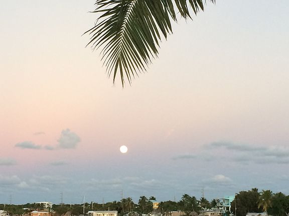 Full Moon Rising 