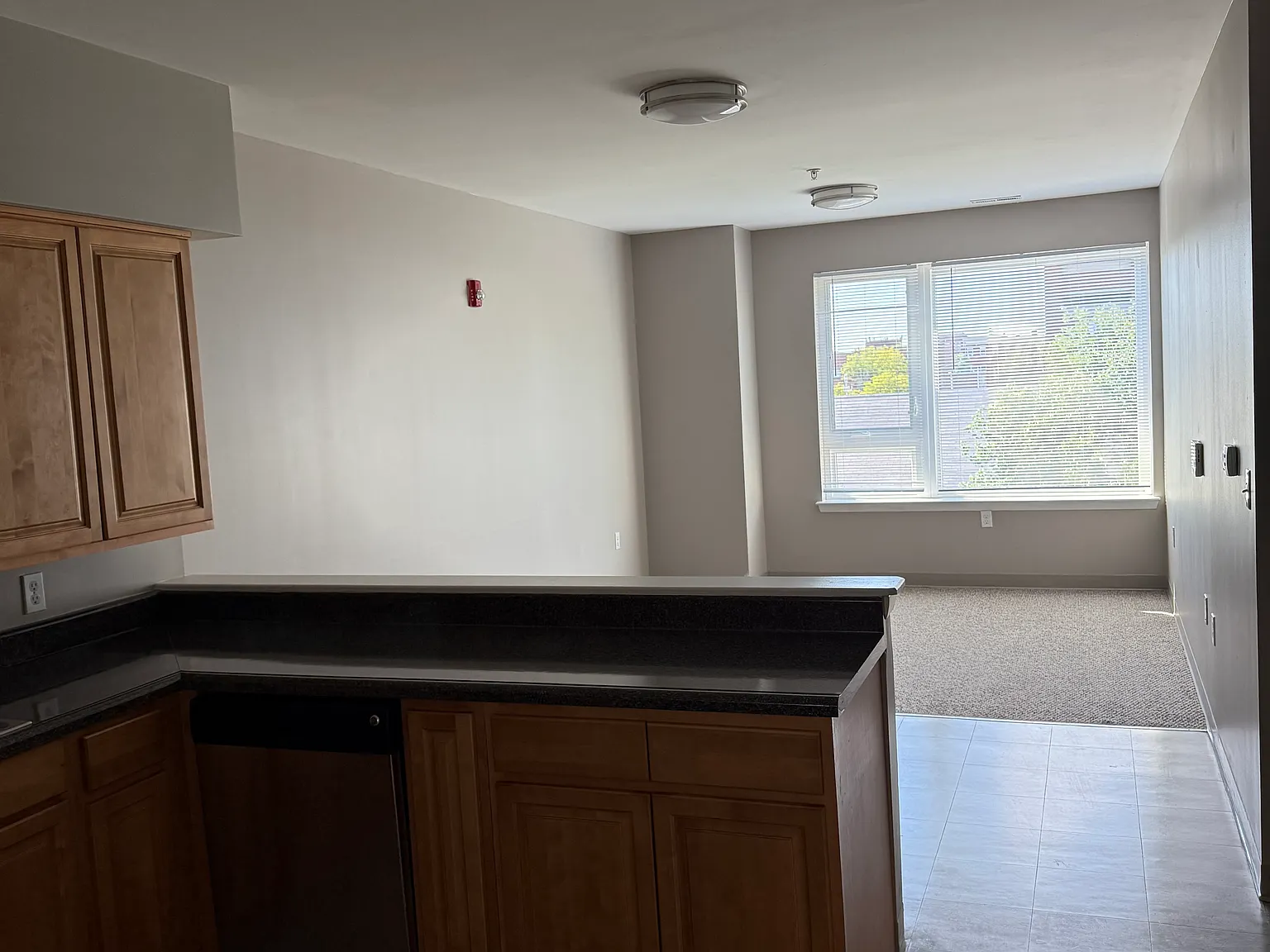 1 bed, 852 sqft, $950 — Photo 3