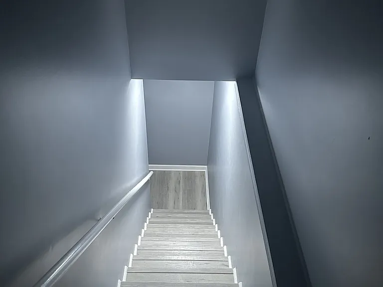 Steps to Lower Level