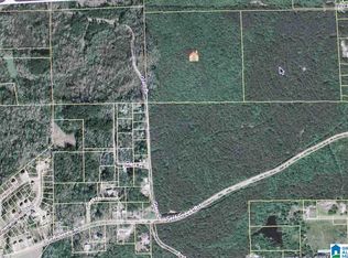 9124 Glass Dr, Morris, AL 35116