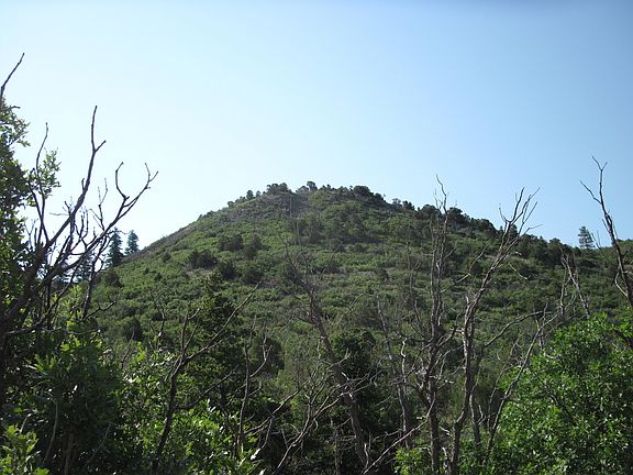 2nd image of 294 Ranchitos Rd
