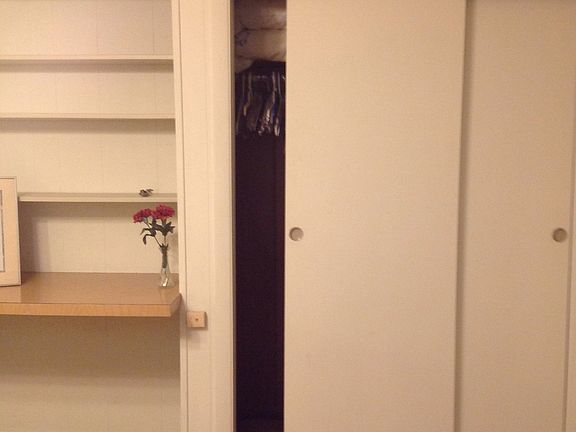 Closet, desk, bookshelves