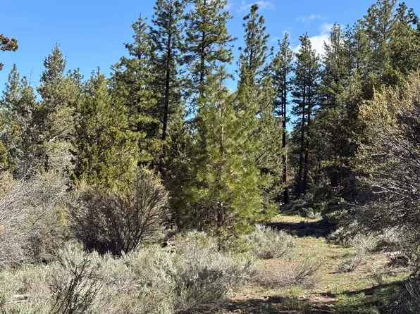 Drews Gap Lane Tl #1300, Lakeview, OR 97630