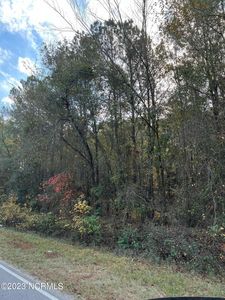 0 Herring Road, Harrells, NC, 28444