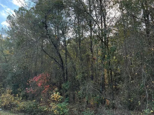 0 Herring Road, Harrells, NC 28444