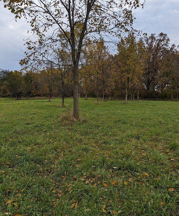 1st image of 12885 Ebeling Rd