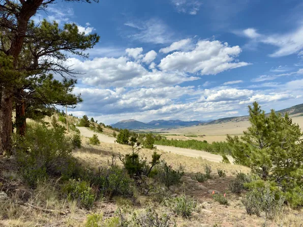 0 Middle Fork Vis #487, Fairplay, CO 80440