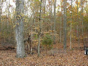 2nd image of 630 Horse Creek Rd