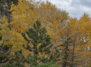 2038 County Road 308 #13, Dumont, CO 80436