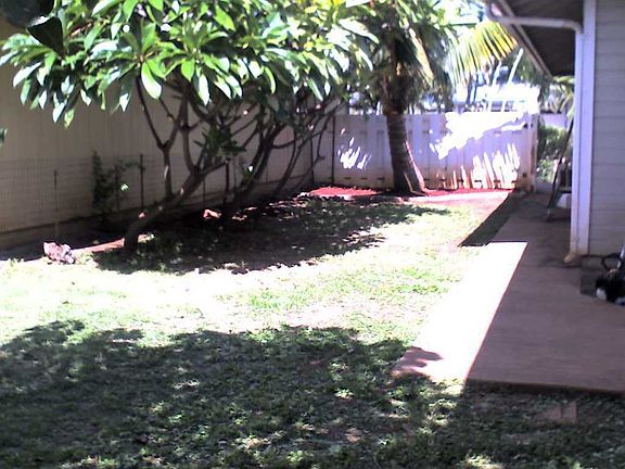 Yard