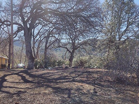 4th image of 6670 Buena Vista Ave