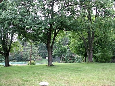 Backyard overlook (on hill)