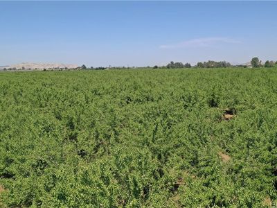 42559 Road 136, Orosi, CA, 93647