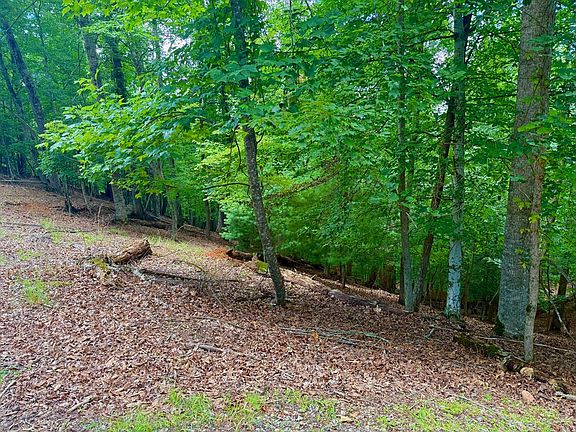 3rd image of 2246 Palisade Dr