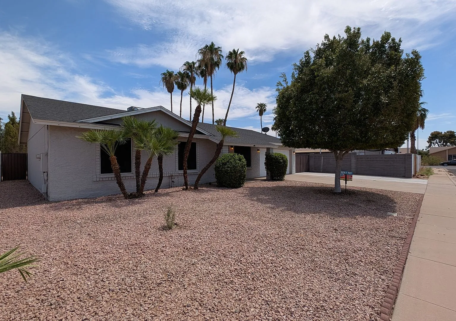 3 Bedroom Home Near W Baseline Rd and S Alma School Rd! — Photo 4