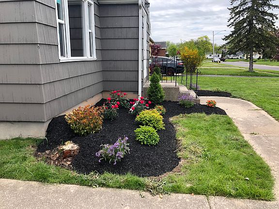 5th image of 55 Darwin Dr