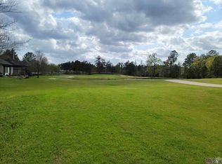 30724 Blue Wing Cres, Springfield, LA 70462