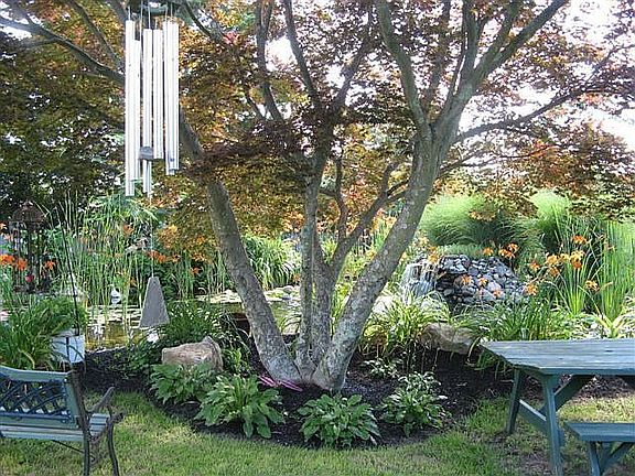 Backyard/Enchanted Garden