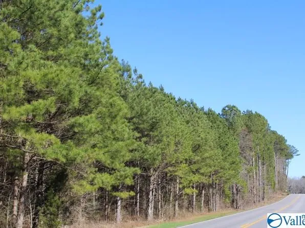 4783 E Upper River Rd, Somerville, AL 35670