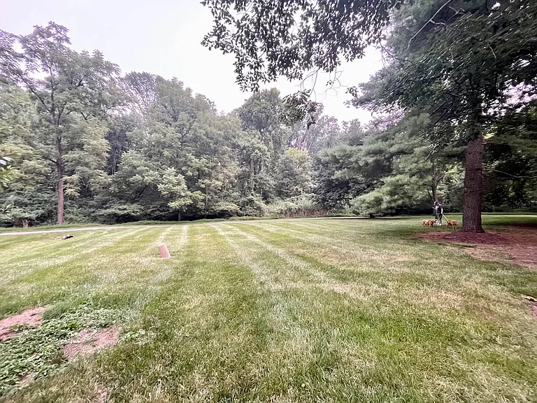 8322 Silver Trumpet Dr — Photo 35