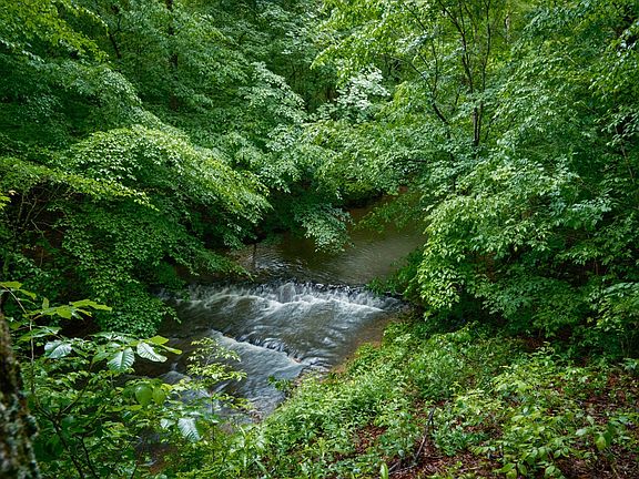 5th image of 7556 Caney Fork Rd