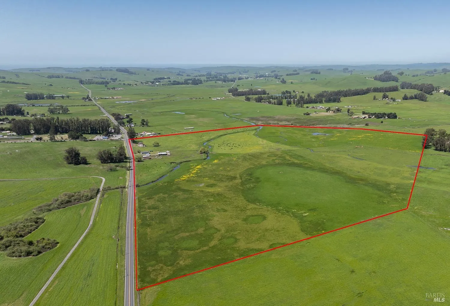 530 Tomales Road - Photo 2