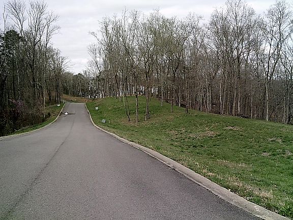 5th image of Cypress Dr
