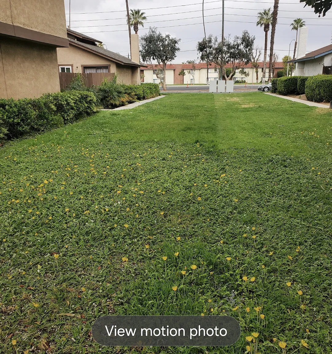 3 bed, 1.5 bath, 1100 sqft, $3,100 — Photo 4