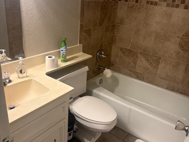 Guest bathroom