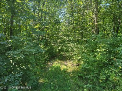 Mission Rd, Ogema, MN, 56569
