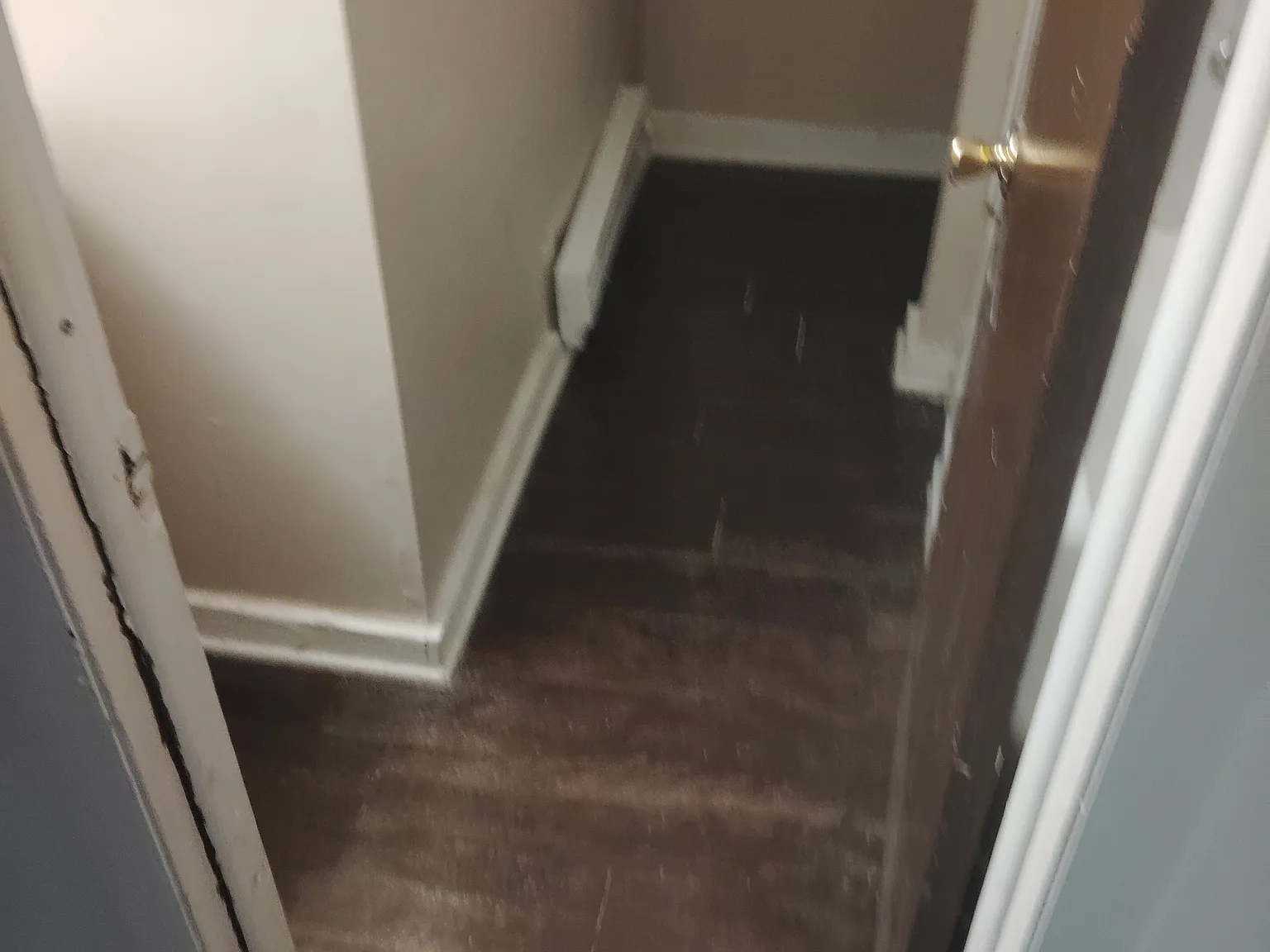2 bed, 1000 sqft, $995 — Photo 4