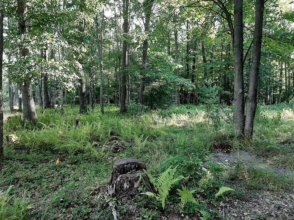 1st image of 0 Great Bear Ln