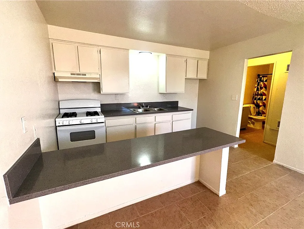 1 bed, 450 sqft, $1,250 — Photo 4