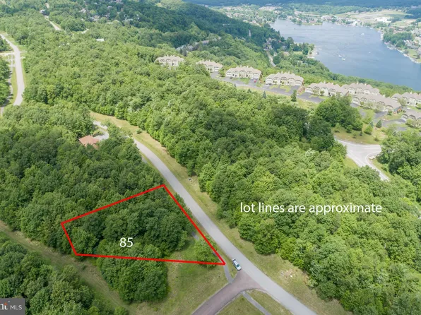 LOT 85 Snowhaven Ln, Mc Henry, MD 21541