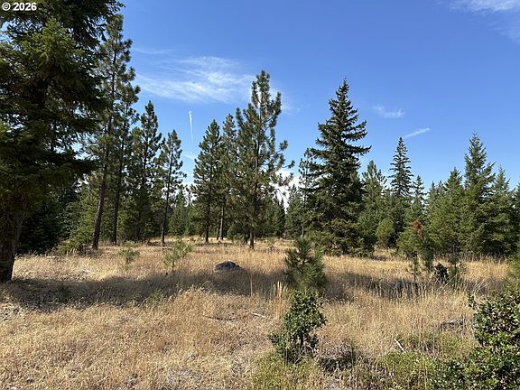 3rd image of Ranger Rd #2