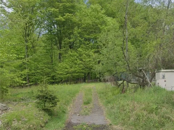 Mongaup Road, Monticello, NY 12701