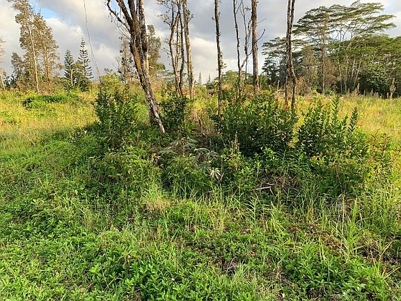 3rd image of 15-1874 24th Ave Lot 1007