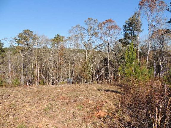 4th image of Township Road 6 Mountain Dr