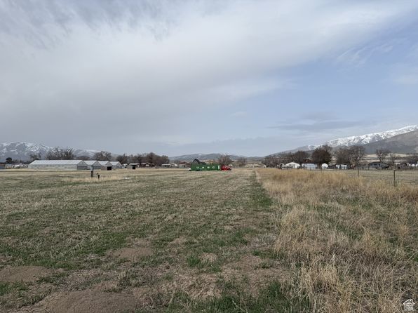 100 E Pine St, Rush Valley, UT 84069