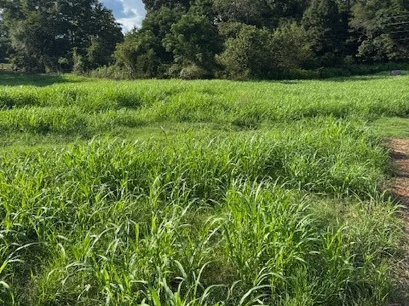 0 Rita Ridge LOT 2, Jefferson, GA 30549