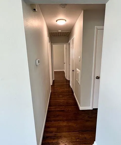 135 Pompano Ln — Photo 7