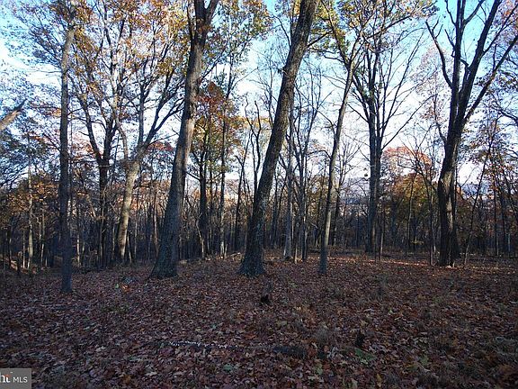 2nd image of 67 Mill Mountain Rd